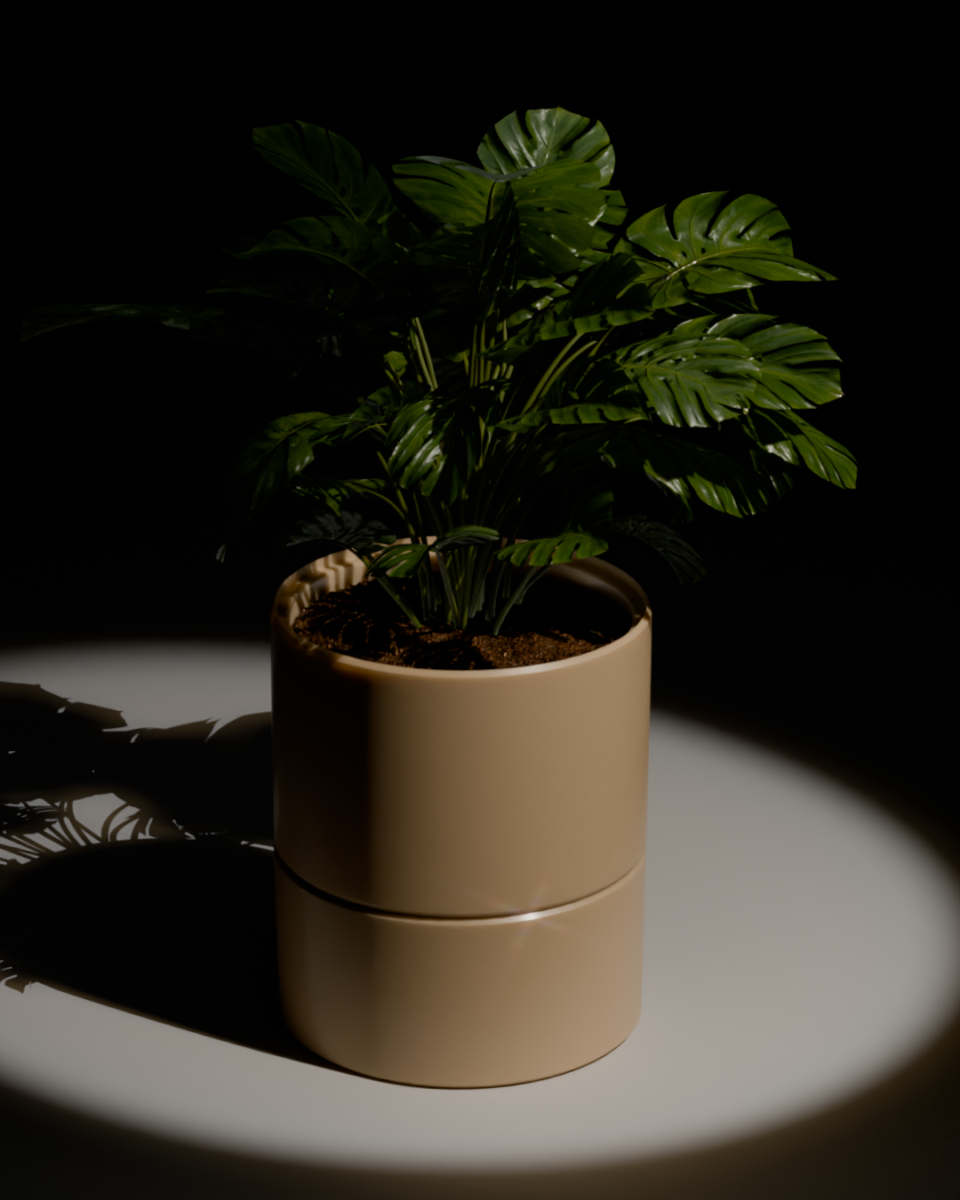 POT v1.0