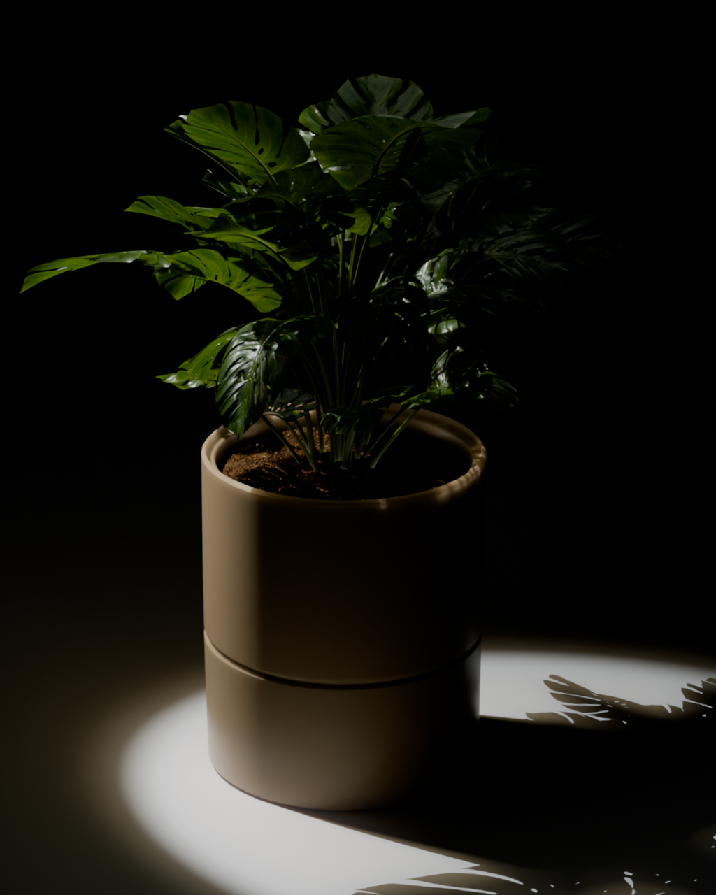 POT v1.0