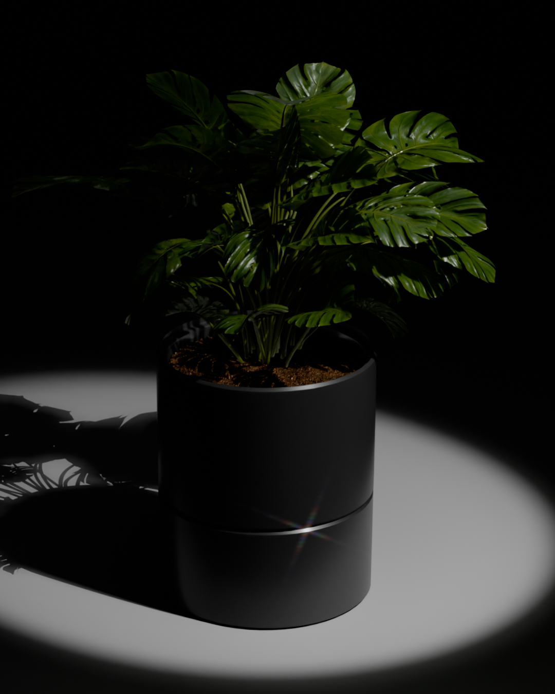 POT v1.0