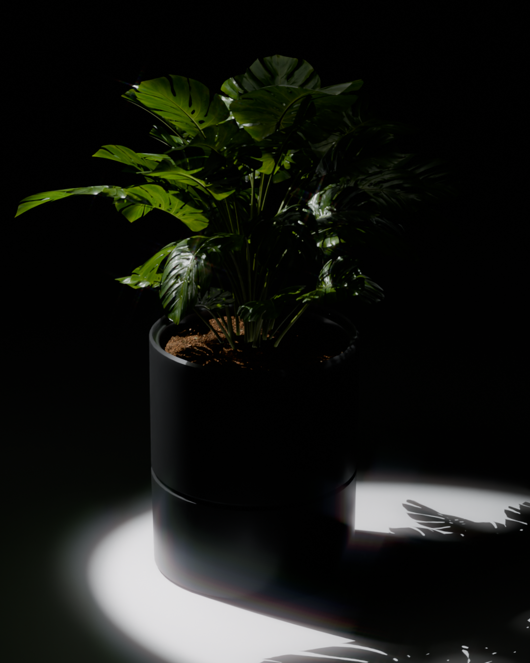 POT v1.0