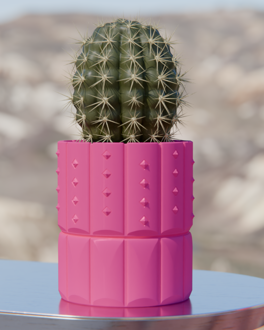 Cacti 04