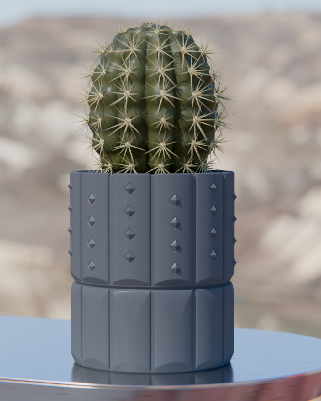 Cacti 04