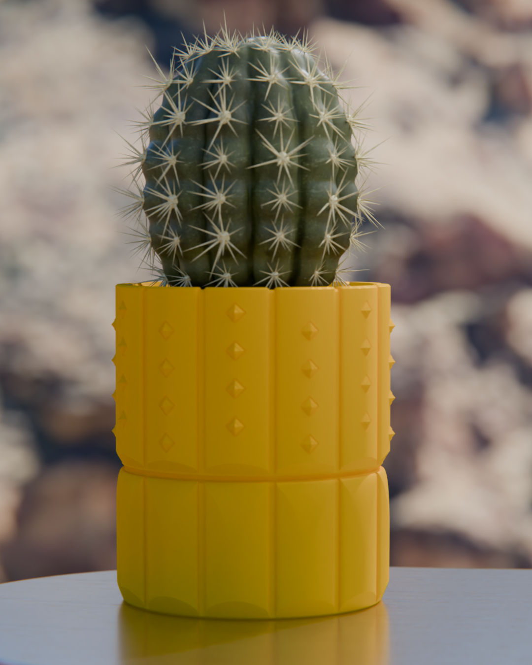 Cacti 04