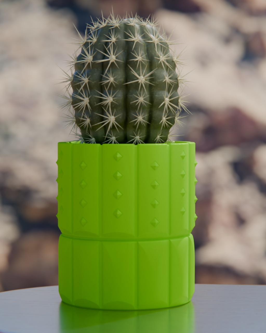 Cacti 04