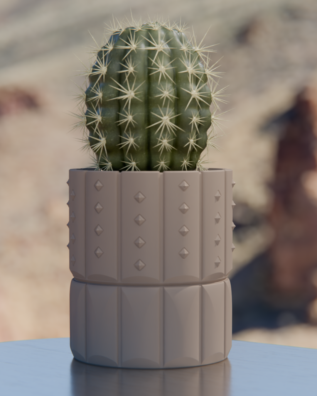 Cacti 04