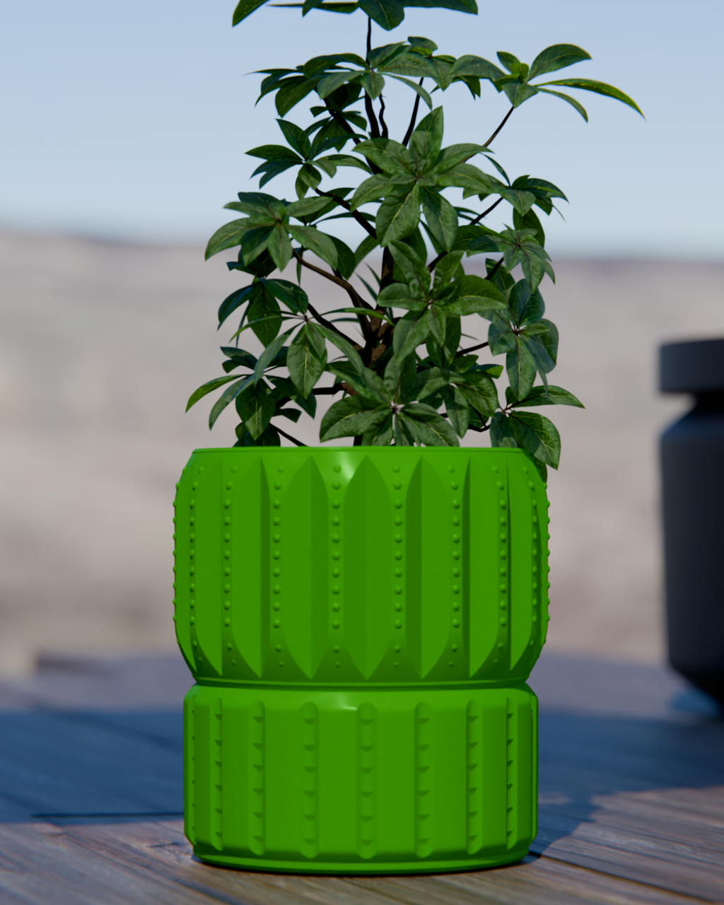Cacti 05