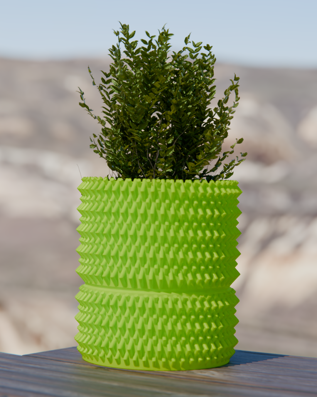 Cacti 06