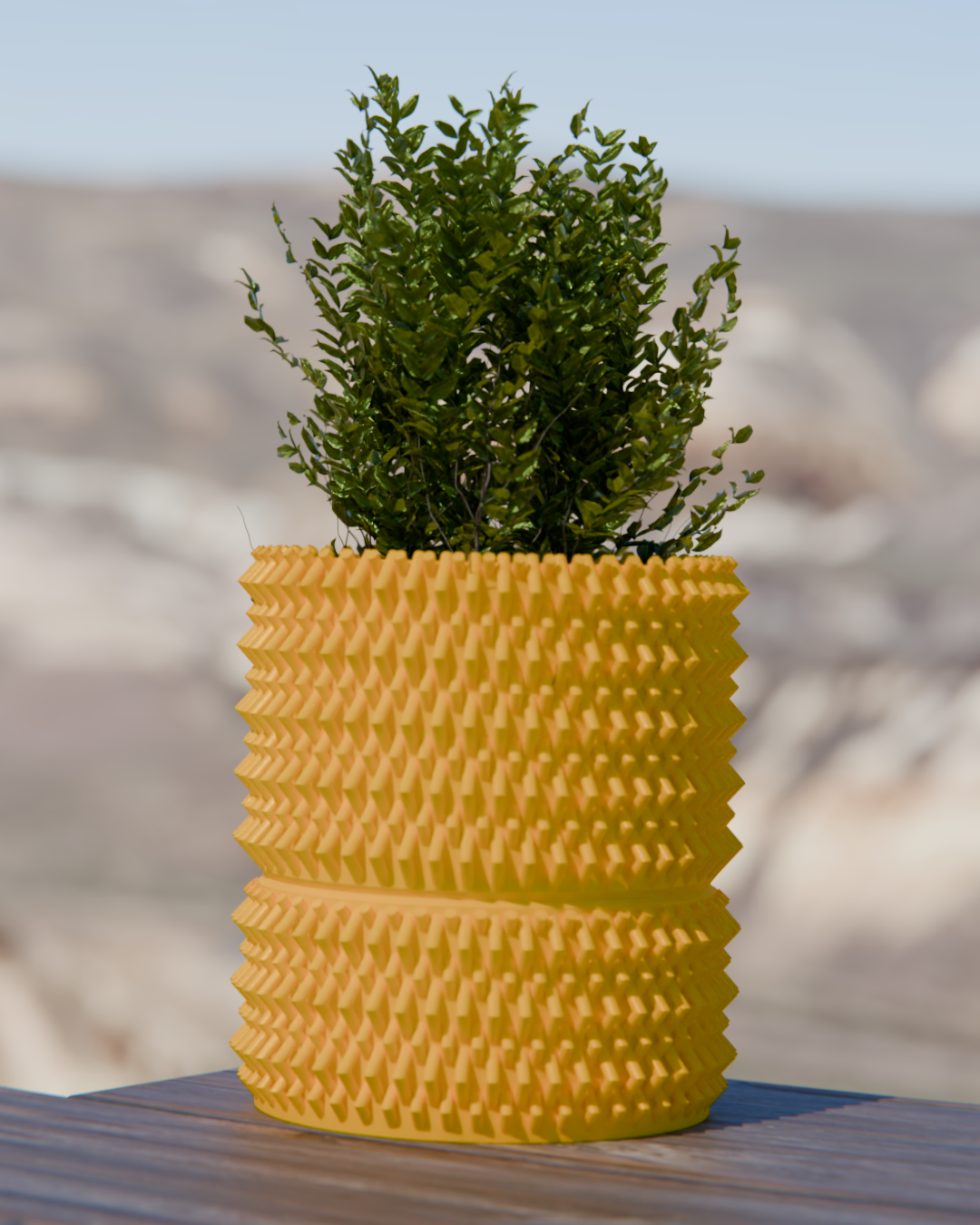 Cacti 06