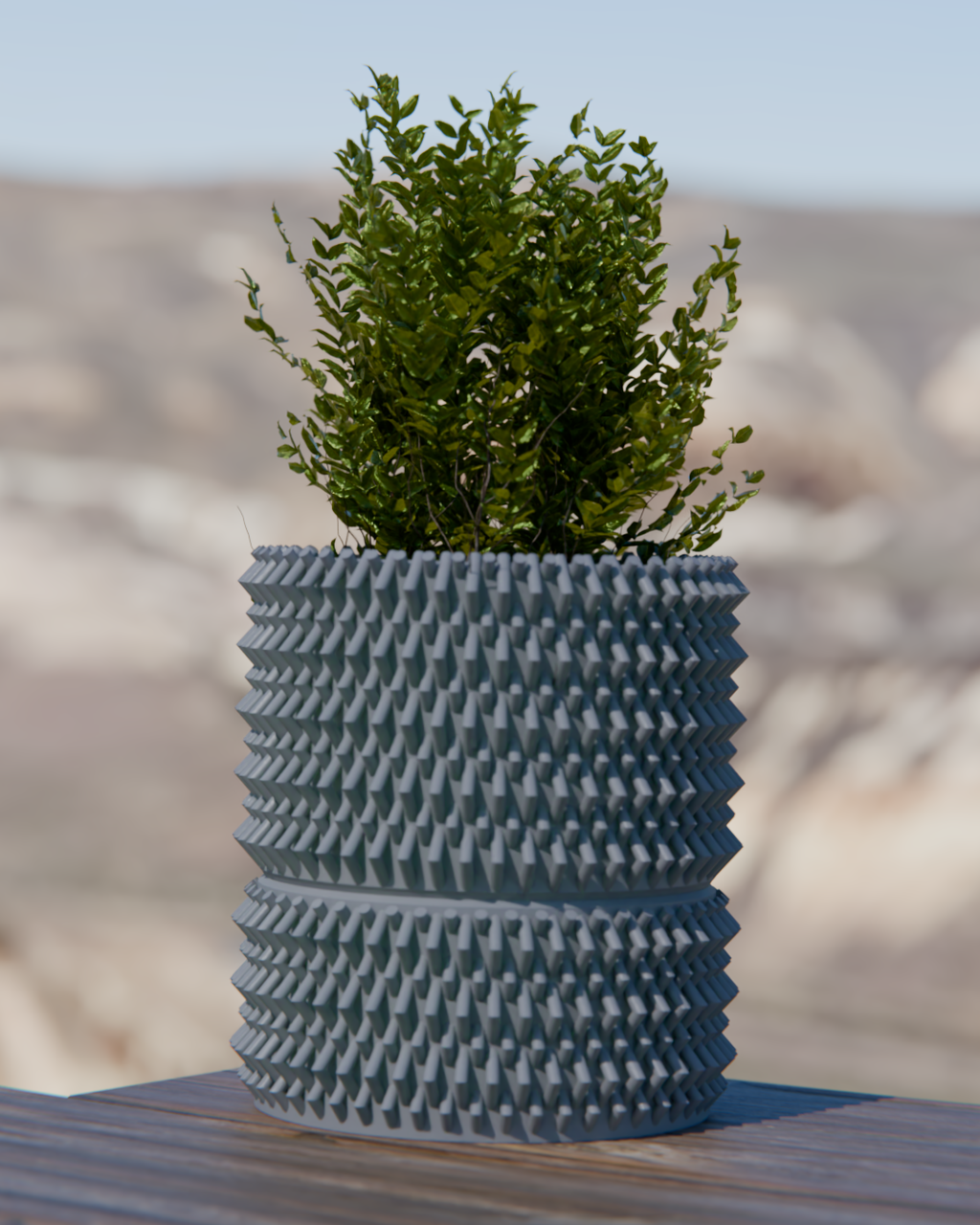 Cacti 06