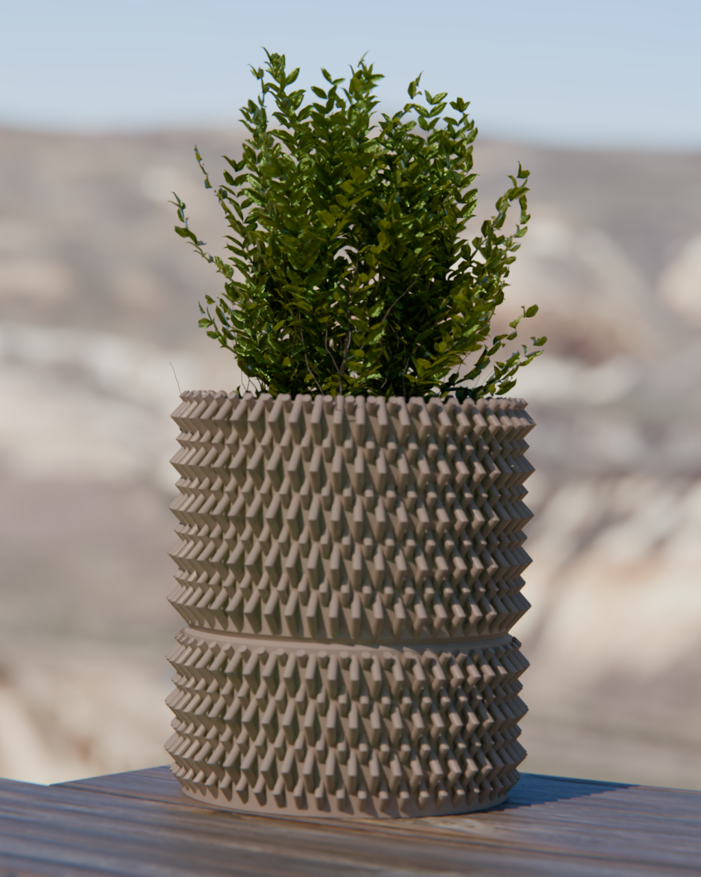 Cacti 06