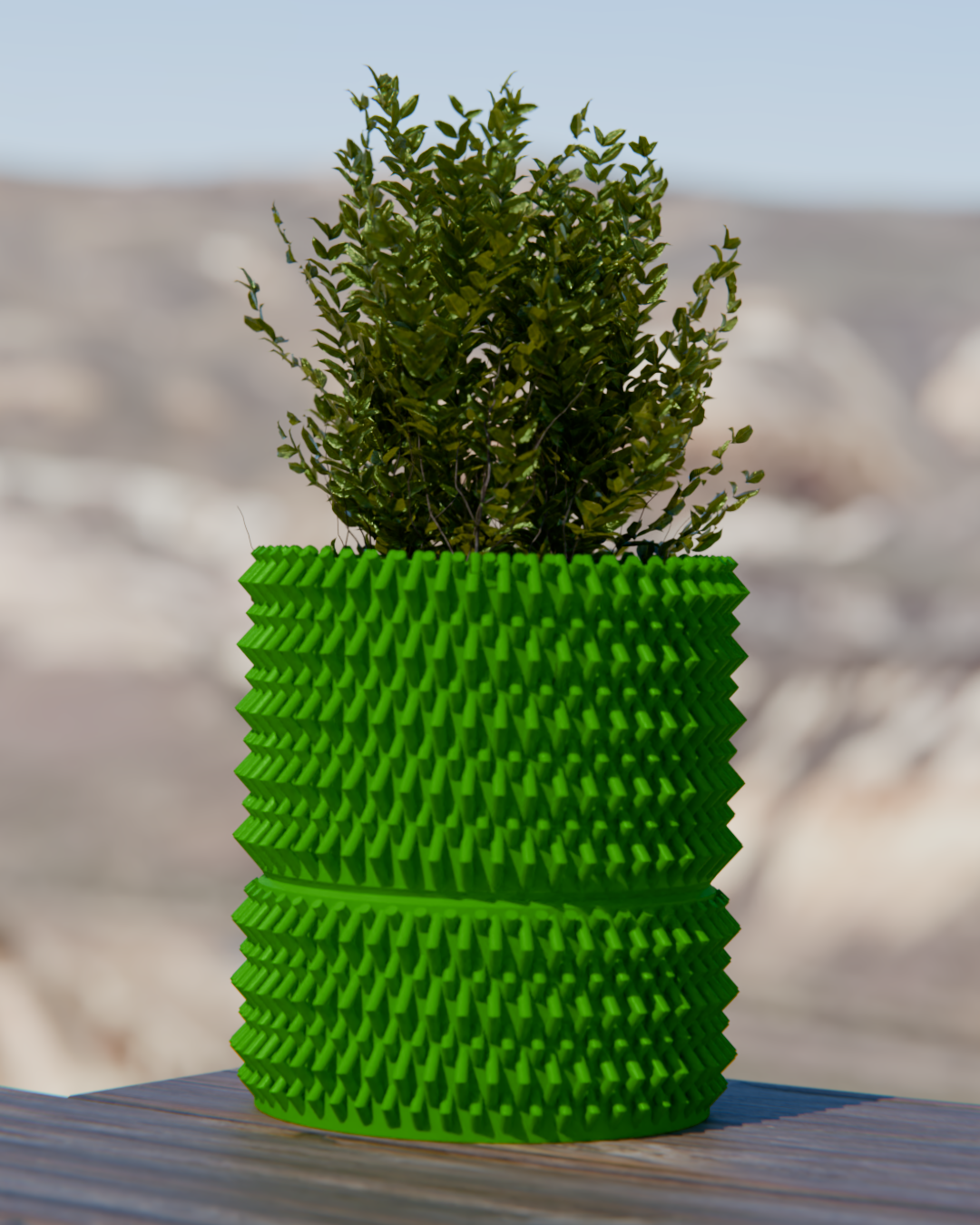Cacti 06