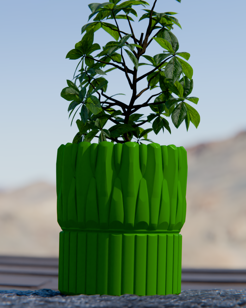 Cacti 08