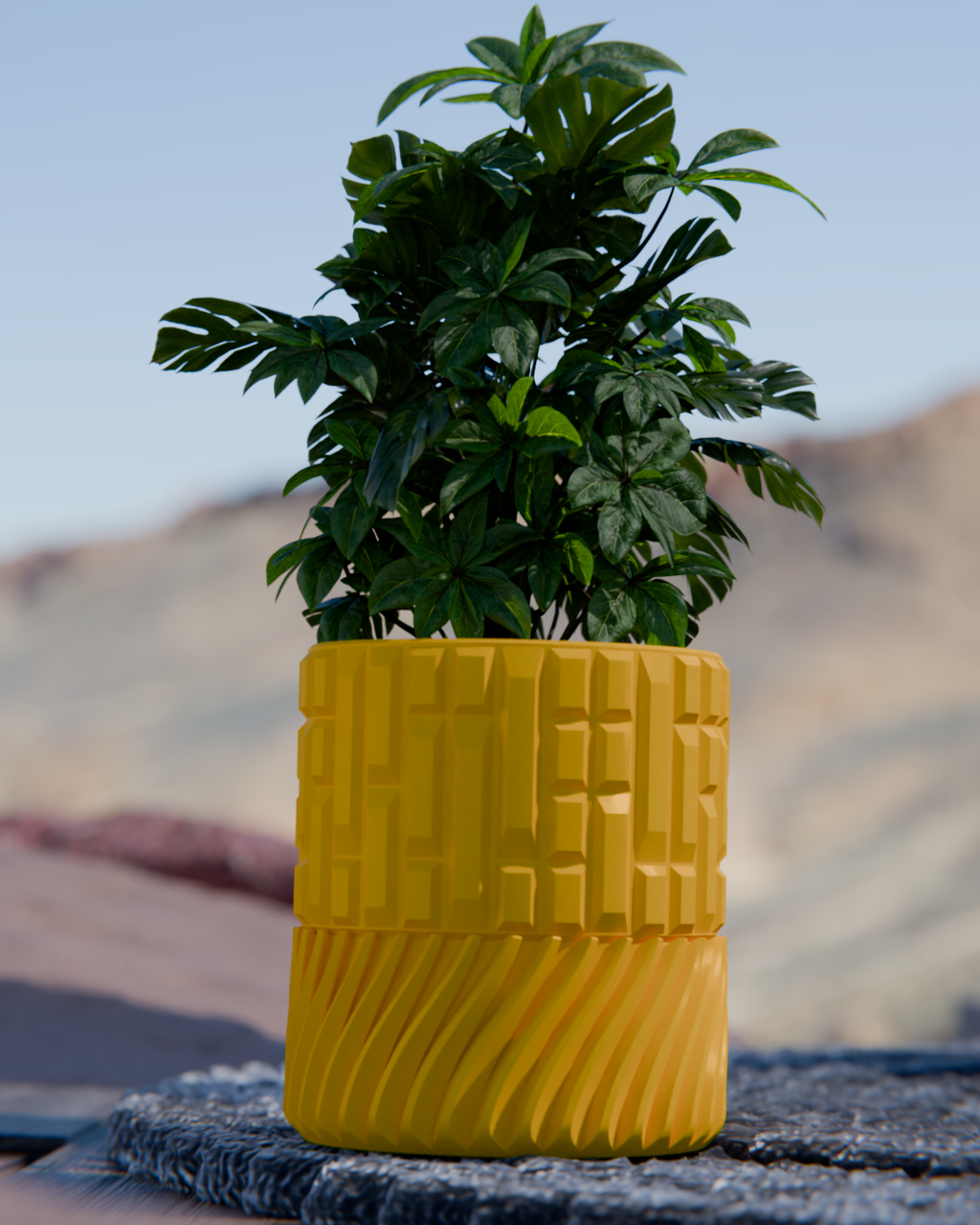 Cacti 07