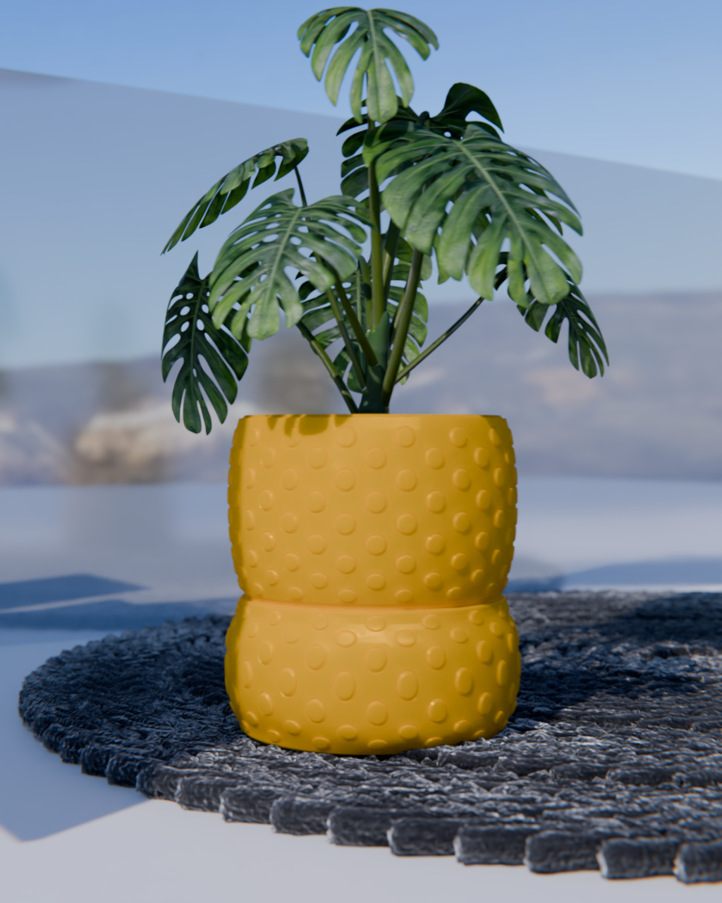 Cacti 03
