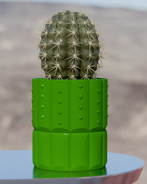 Cacti 04