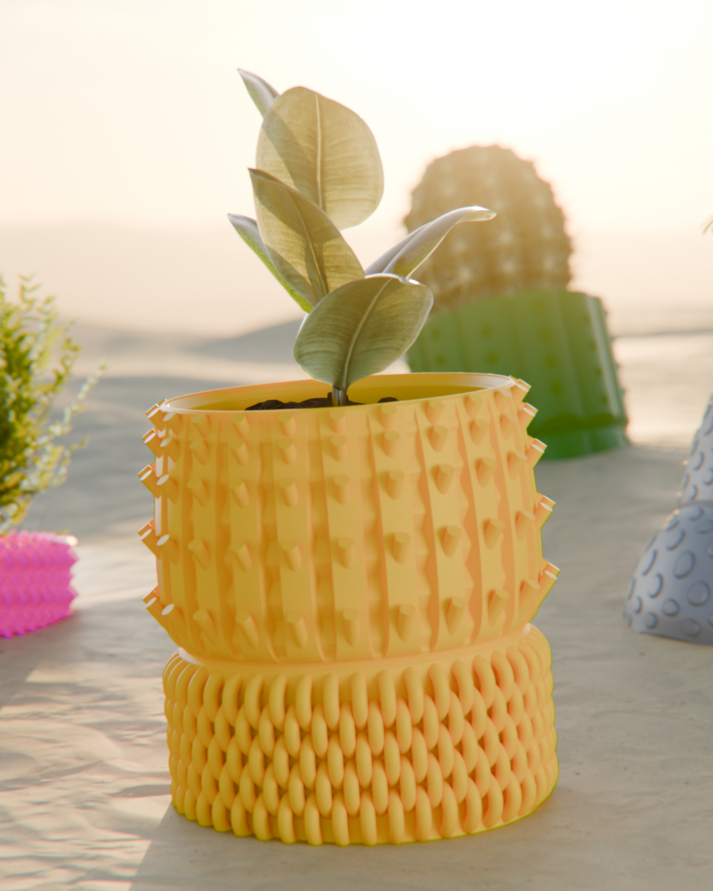 Cacti 01