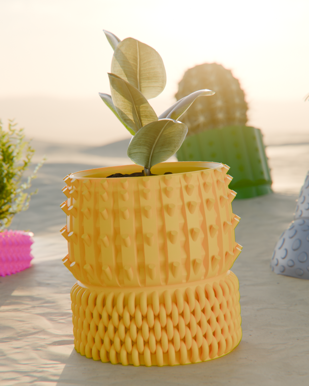 Cacti 01