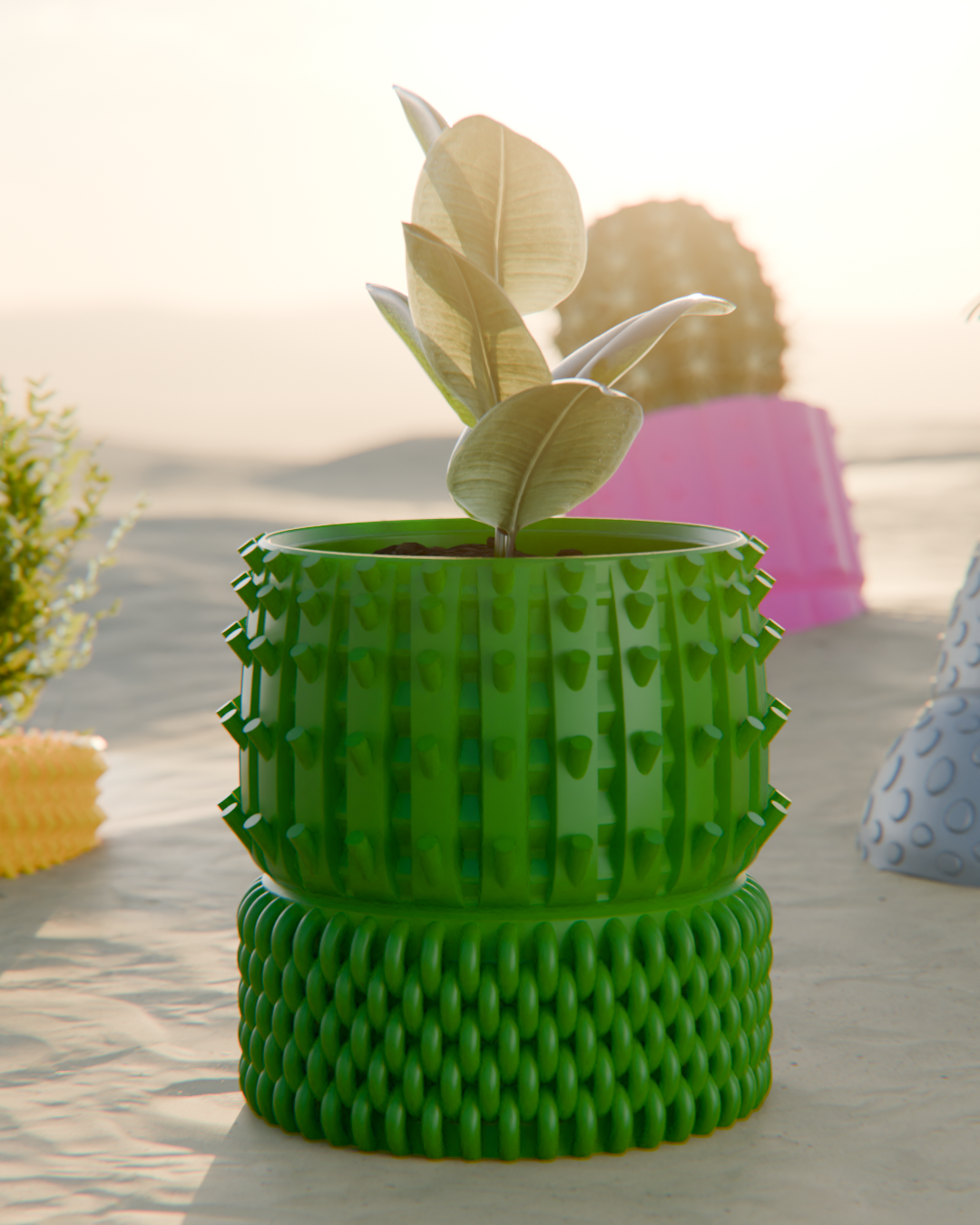 Cacti 01