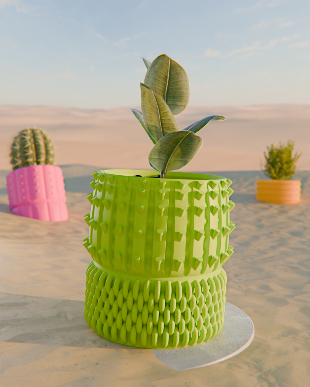 Cacti 01