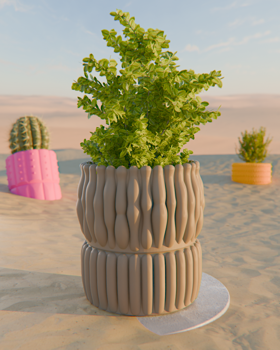 Cacti 02