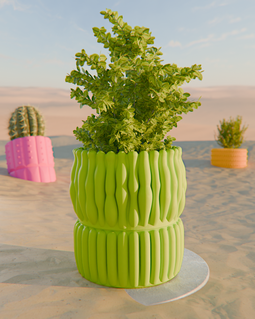 Cacti 02