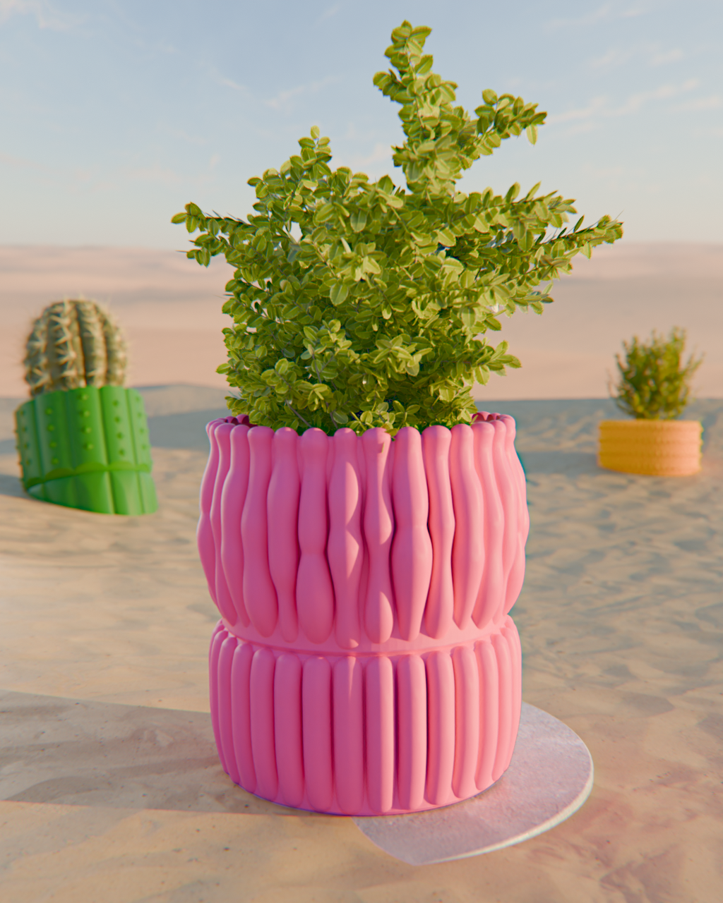 Cacti 02