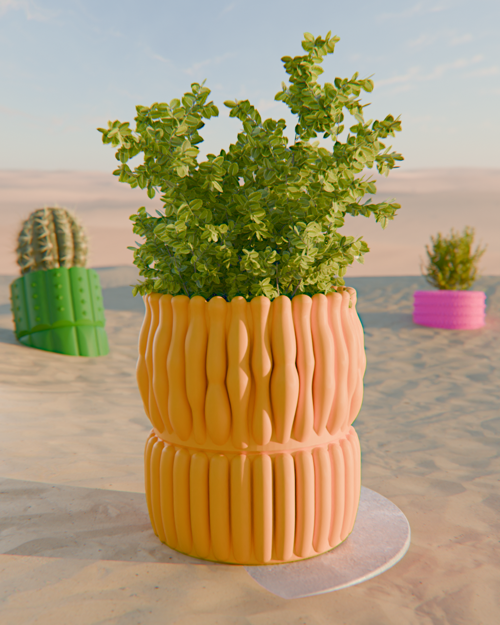 Cacti 02
