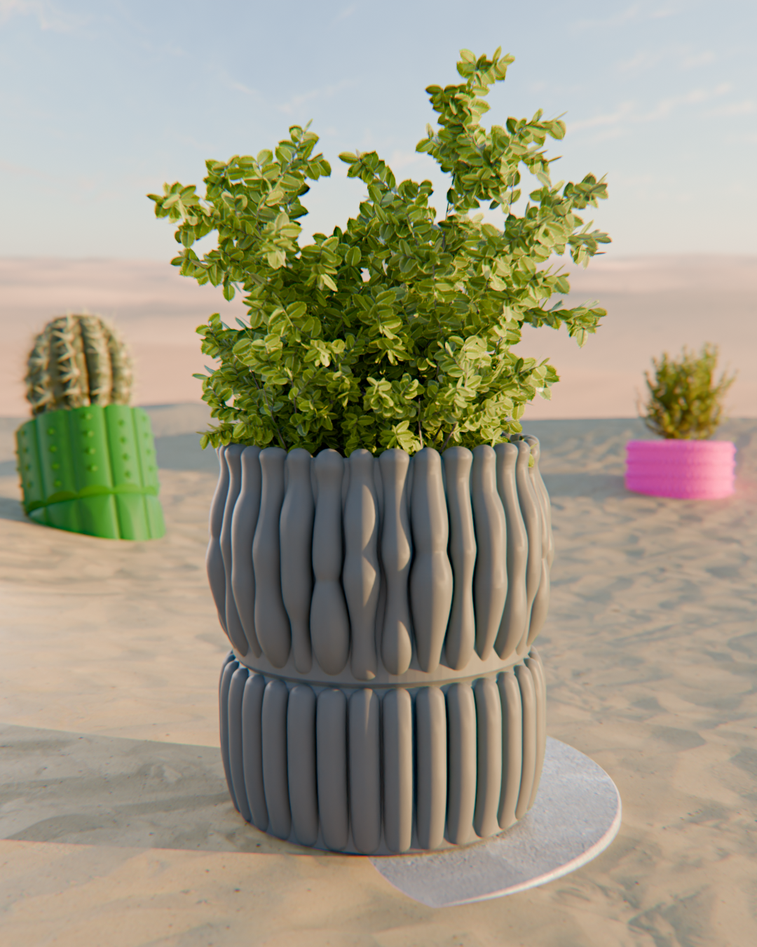 Cacti 02