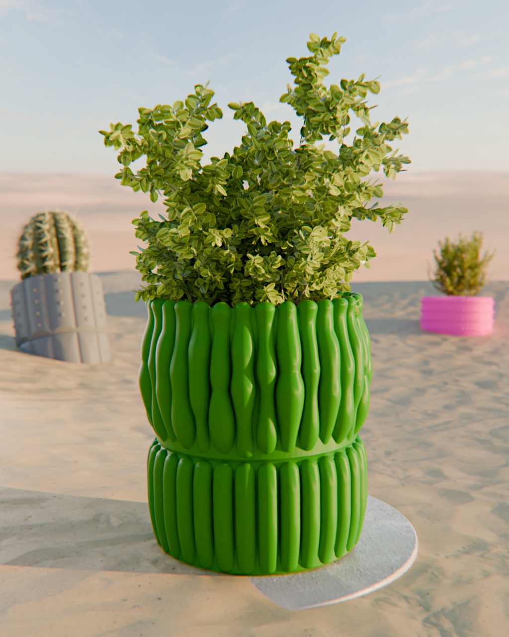 Cacti 02