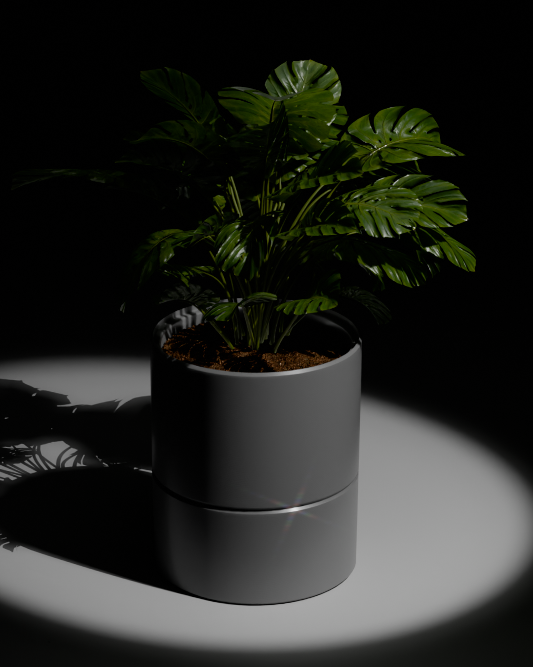 POT v1.0