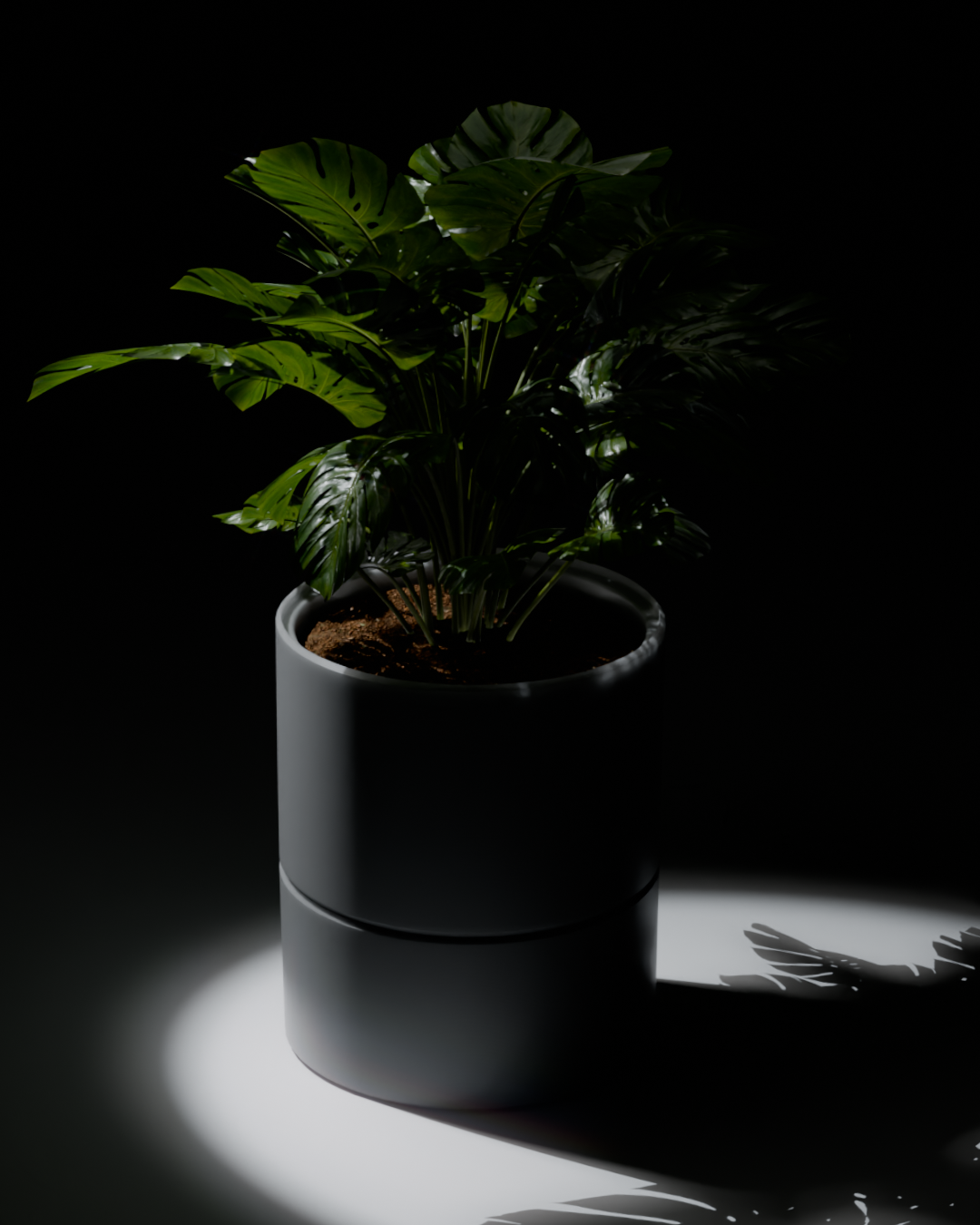 POT v1.0