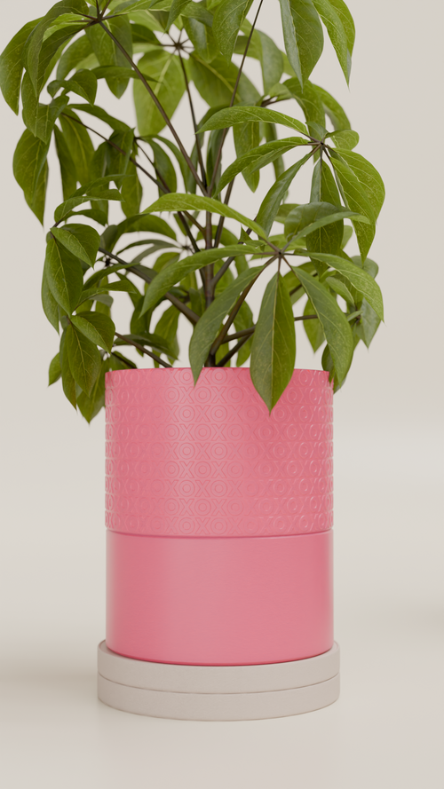 POT v1.0 - Valentine's Day Edition